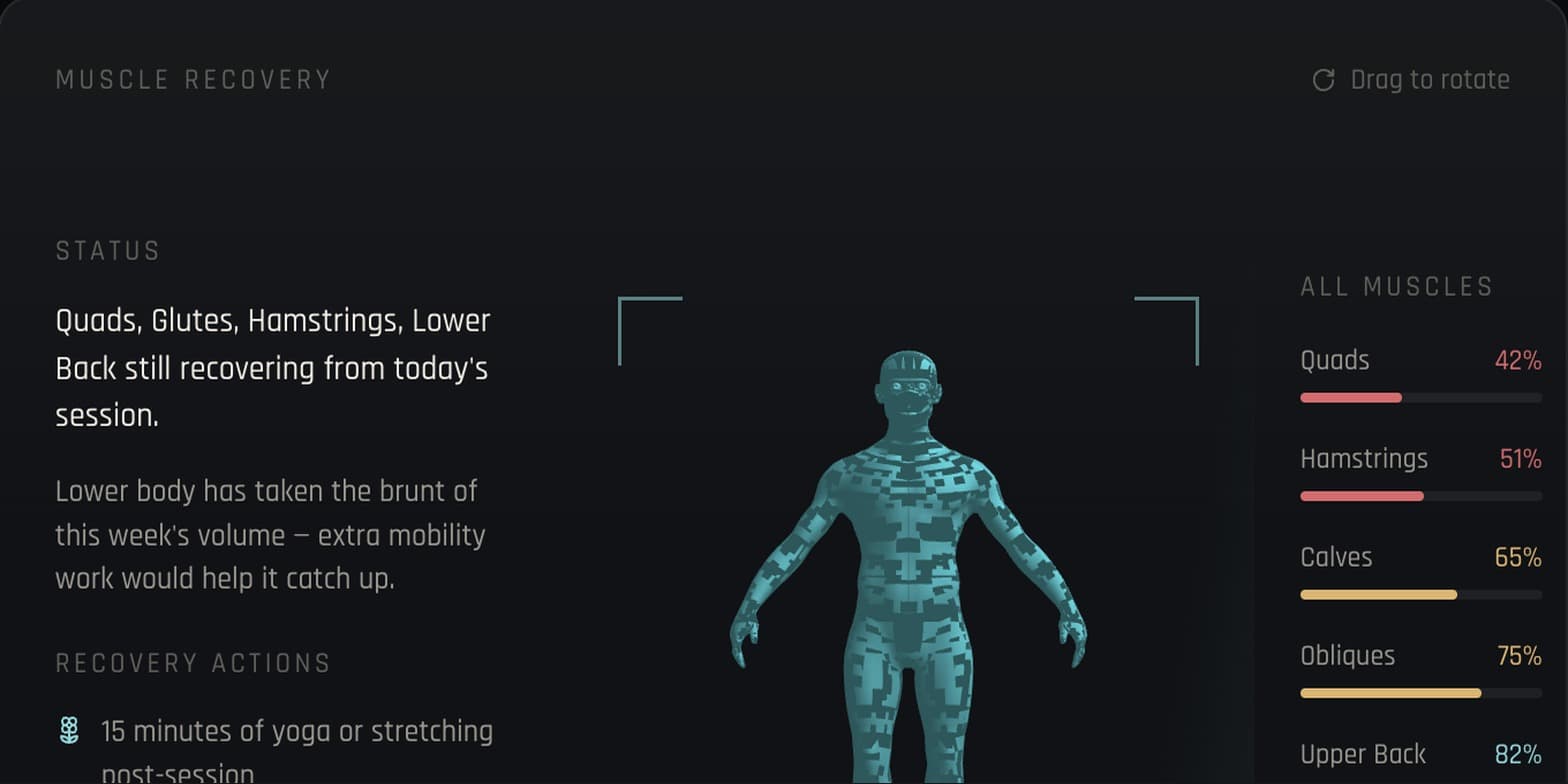 Muscle recovery, mapped to your body